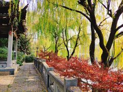 -运河游船(武林门码头)