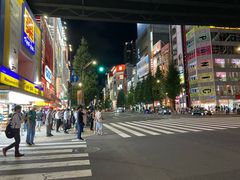 -秋叶原电器街
