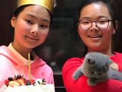 -美丽心情蛋糕(江苏路店)