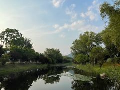 -石塘人家
