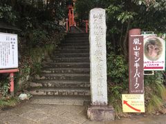 -岚山猴子公园