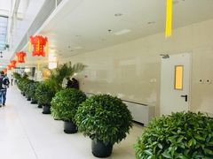 -北京协和医院(东单院区)