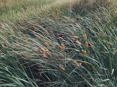 -党河风情线国家水利风景区