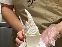 -野人先生Gelato(上海长宁龙之梦店)