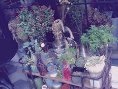 -RGF(巨鹿路店)