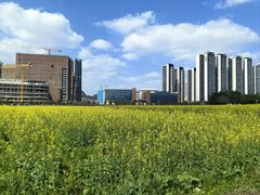 -光明小镇欢乐田园