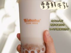 -娃哈哈·奶茶(武林店)