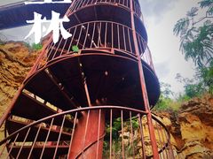 -元谋土林景区(物茂土林)
