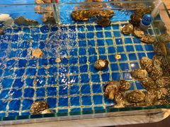 -箸福·夜上海(月牙湖公园店)