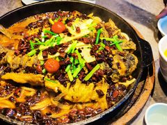 -老板恋上鱼(恒隆广场店)