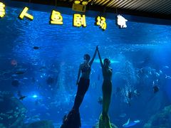 -锦艺城海洋馆