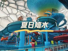 -水立方嬉水乐园