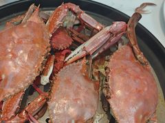 -半岛听涛蒸汽海鲜自助(K11店)