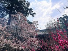 -潭柘寺景区