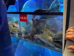 -鱼酷活鱼烤鱼(恒隆广场店)