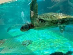 -海合安成都极地海洋公园