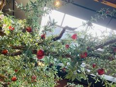 -局气烤鸭·北京菜(前门店)
