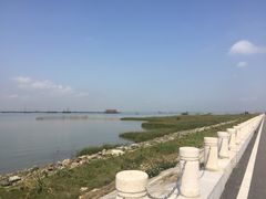 -芒洲湿地公园