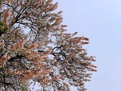 -成都市活水公园