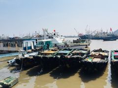 -沈家门渔港