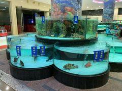 -东豪园林海鲜酒家(南港路辅路店)