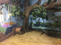 -石家庄市动物园