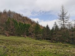 -硗碛藏寨·神木垒景区