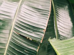 -卷心卷意·轻甜蛋糕(新光天地店)