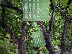 -王阳明故居