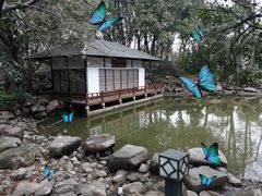 -新洲生态园