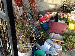 -万商花鸟市场