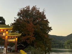 -广东温泉宾馆