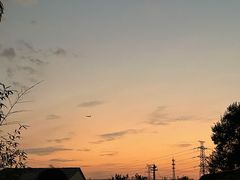 -北京群众马术培训基地