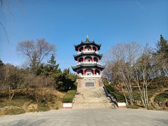 -莱西月湖公园