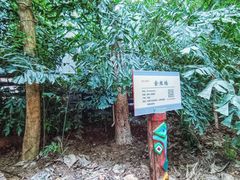 -呀路古热带植物园