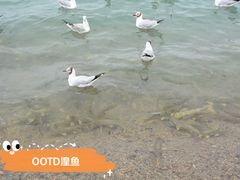 -青海湖二郎剑景区