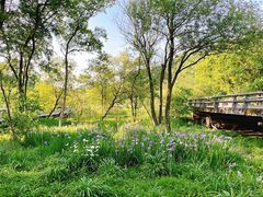 -西湖风景区-江洋畈生态公园