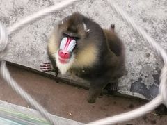 -西安秦岭野生动物园