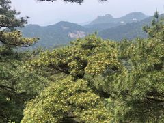 -天柱山风景区