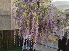 -城南老友羊蝎子火锅(花乡奥莱店)