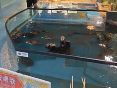 -上海大自然野生昆虫馆(东方明珠·爬宠昆虫探索中心)