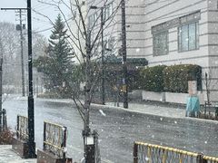 -幸运小丑汉堡(Bay Area本店)