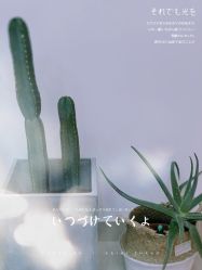 店内环境-奈思·日式美甲美睫沙龙
