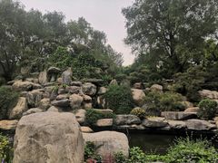 -中国唐苑