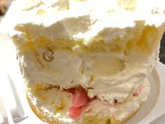 -糕小爱动物奶油生日蛋糕定制(晋江万达店)