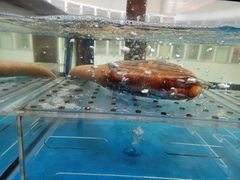 -南海渔村(珠江新城店)