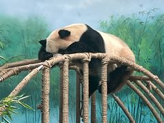 -杭州动物园