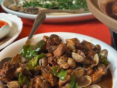 青岛蛤蜊鸡-船歌·鱼水饺青岛菜(正阳路店)
