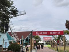 -荷兰花海