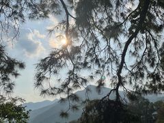 -波尔登森林公园